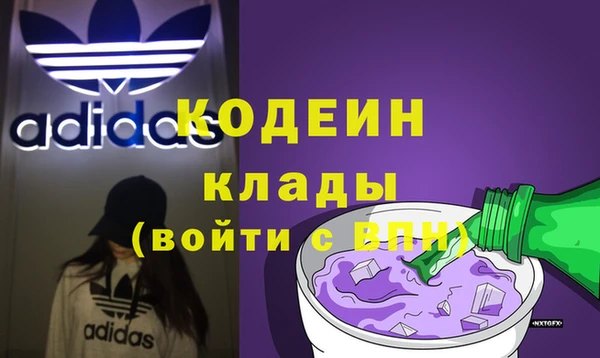 индика Балабаново