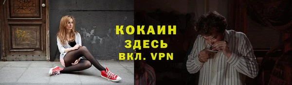индика Балабаново