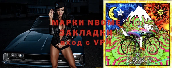 индика Балабаново