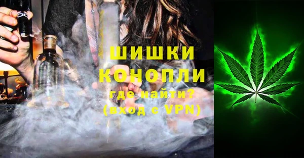 индика Балабаново