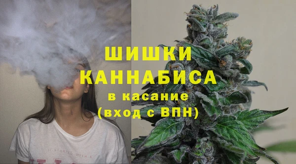 Альфа ПВП Протвино